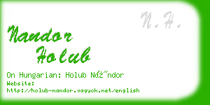 nandor holub business card